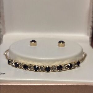 Charter Club February Purple Stone Bracelet Earring Set